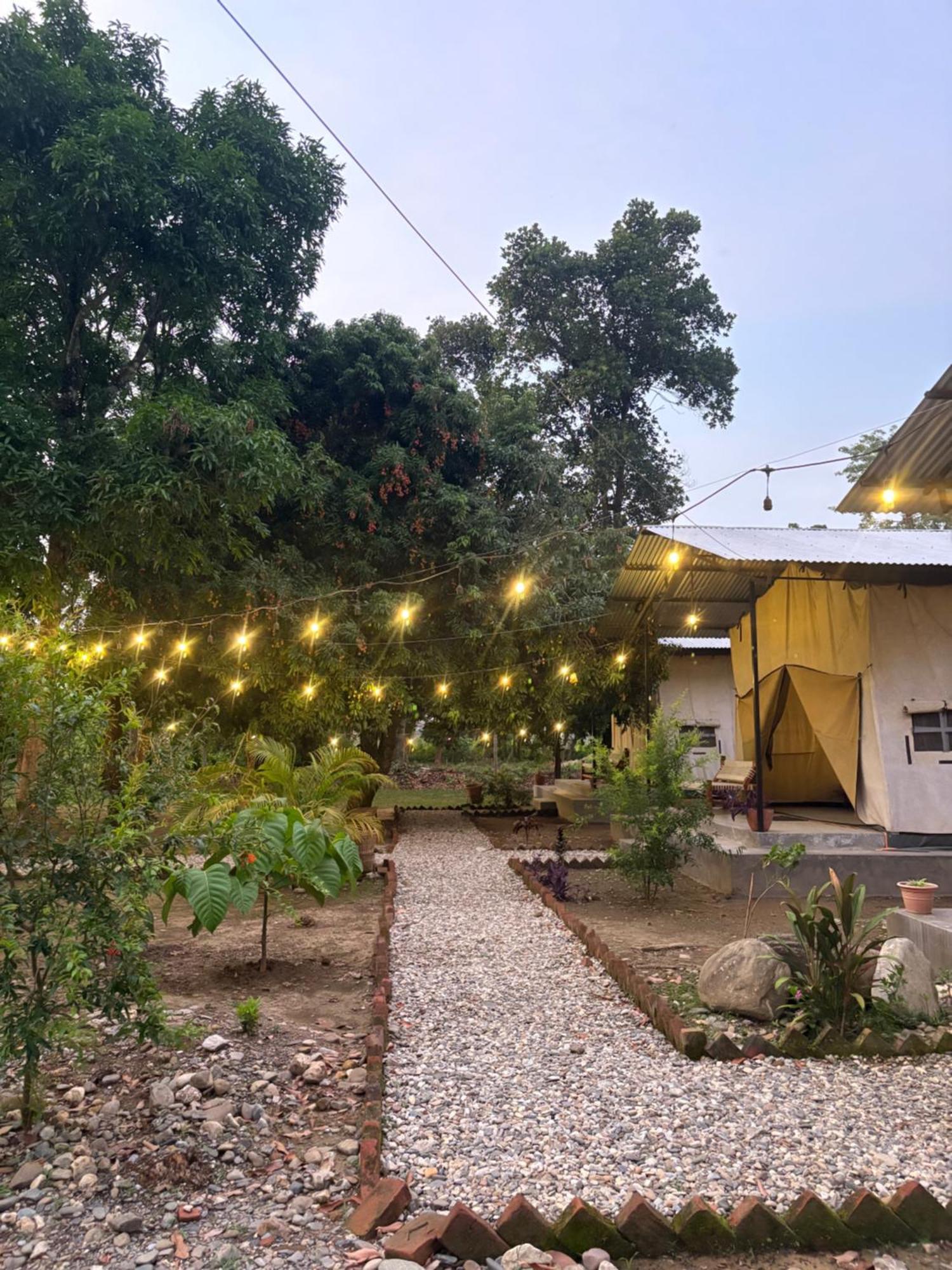 Hotel Tharu Garden And Beer Bar チトワン エクステリア 写真